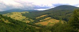 Carpathian meadows / ***