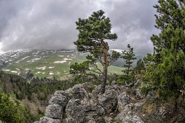 Caucasian Biosphere Reserve / ***