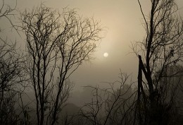 Fog and sun / ***