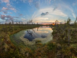 Wild lakes mirror the swamp. / ***