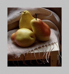 Three Pears / ***
