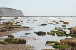 North Sea / ***