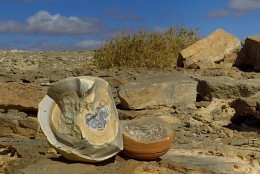 Druze. Plateau El Gouna. Egypt. Sinai / http://nesvitsky.com/foto-el-guna-sinay/