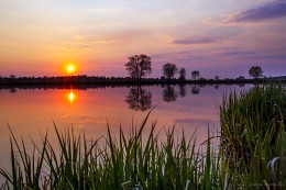 Sunset in the fence / ***