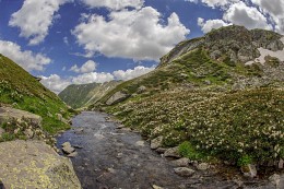 The right source of the river Small Dukka (Altitude u.m.2480 m) / ***