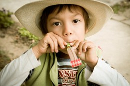 A boy in a straw hat / ***