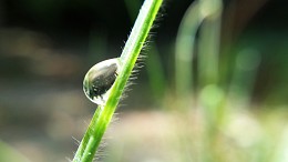 Water Drop / Water Drop Macro