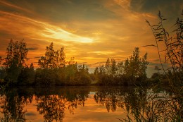 Evening on the lake / ***