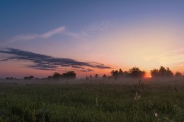 In the tall grass. / ***