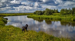 There in the distance, across the river ..... / ***