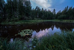 Forest Lake / ***