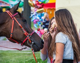 Horse imorozhenoe / ***