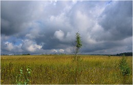 One soldier in the field? / ***