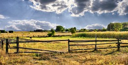 Country Motive / ***