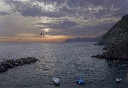 sea / ***