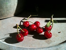 Cherry / ***