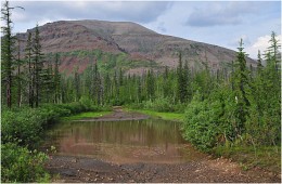 At the Taimyr / ***