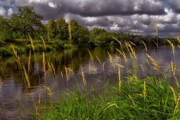 On the banks of the Klyazma / Canon