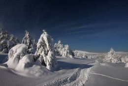 On the roads of winter / ***