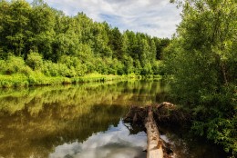 River Chebula / ***