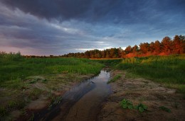 Summer Evening palette / .....