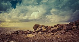 Beach dreams / ***