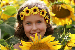 Sunflowers / ***