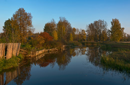 Autumn palette / ***