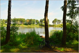 short rest in the shade / ***