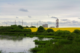 Swamp - Rape - CHP / ***