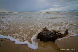 Winter in Liepaja. Storm. / ***