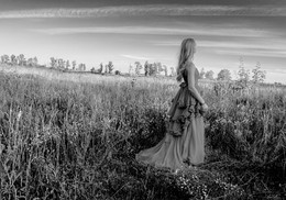 Black-and-white film / NikonD7100