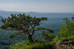Leaning over the precipice / ***