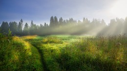 Morning of August 12 ... / ***