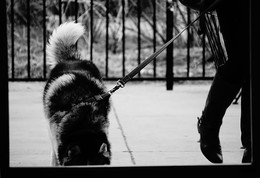 Male or female? / ***