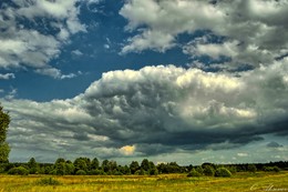 The looming cloud / ***