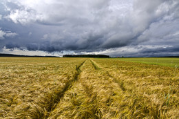 The storm comes. / ***