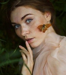 Butterflies / ***