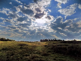 To shed the light of heaven ... / ***