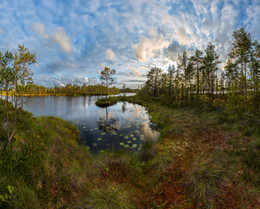 Framing of a small bay. / ***