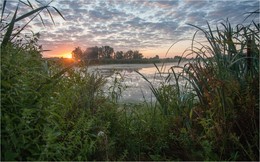 In the morning on the lake / ***