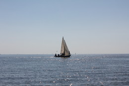 Sailboat in the waters. / ***