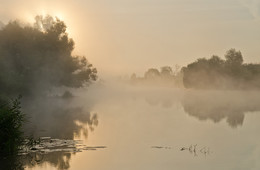 It will be a bright day / ***