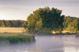 The morning of August Svilochi / ***