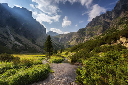 The mountain valley / ***