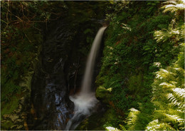 ... In most Glendalough III ... / ***