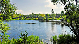 Morning on the lake / ***