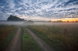 Morning fog / ***