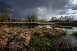 Anticipation of a thunderstorm ... / ***