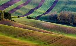 Moravia / ***